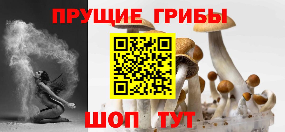 Галлюциногенные грибы MAGIC MUSHROOMS Всеволожск