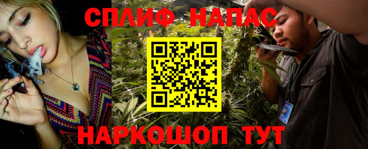 Конопля план Всеволожск